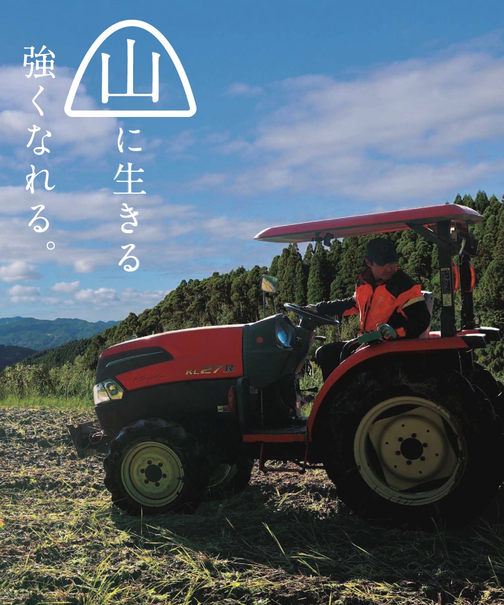 期待感さが中山間