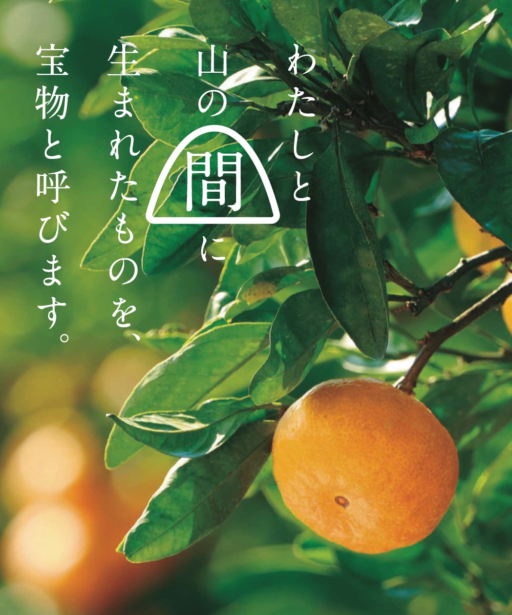 期待感さが中山間