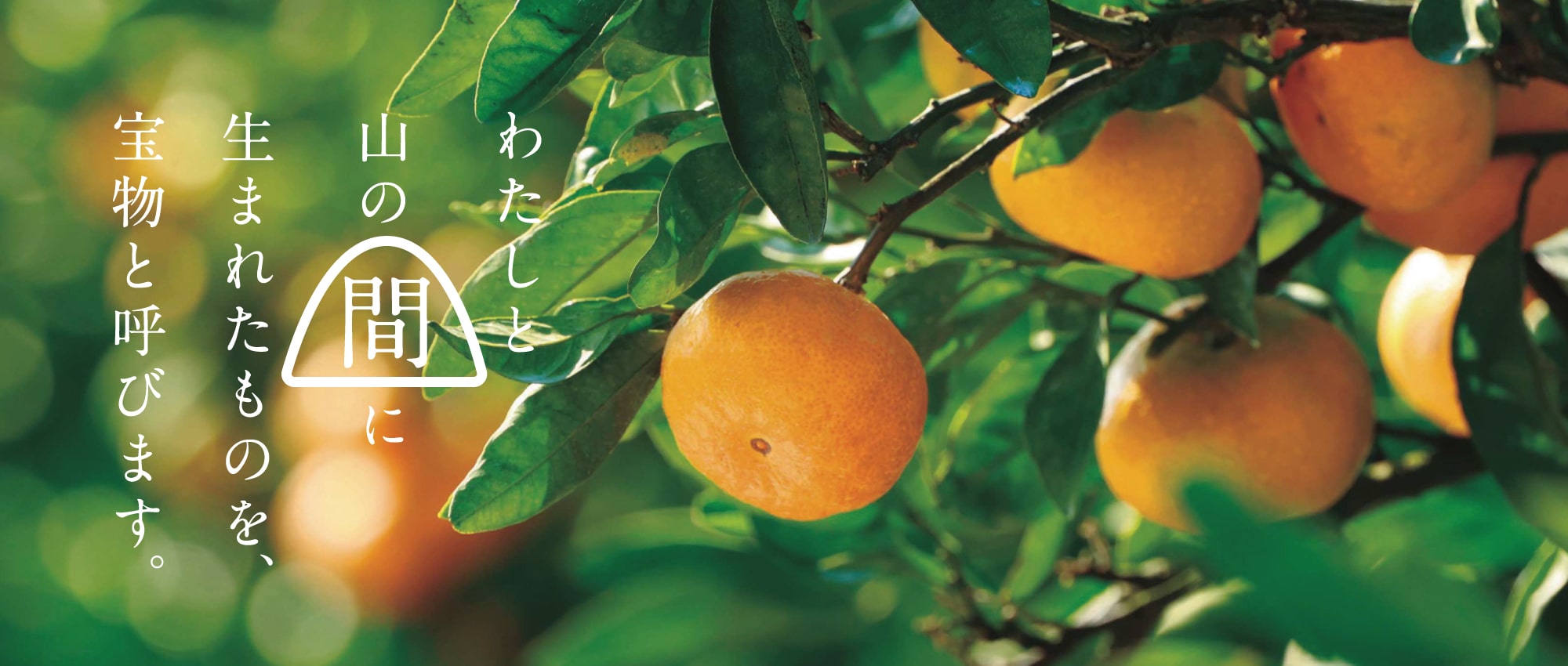 期待感さが中山間