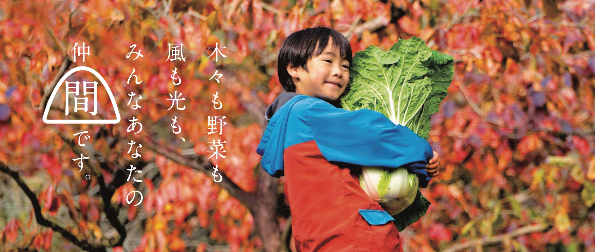 期待感さが中山間